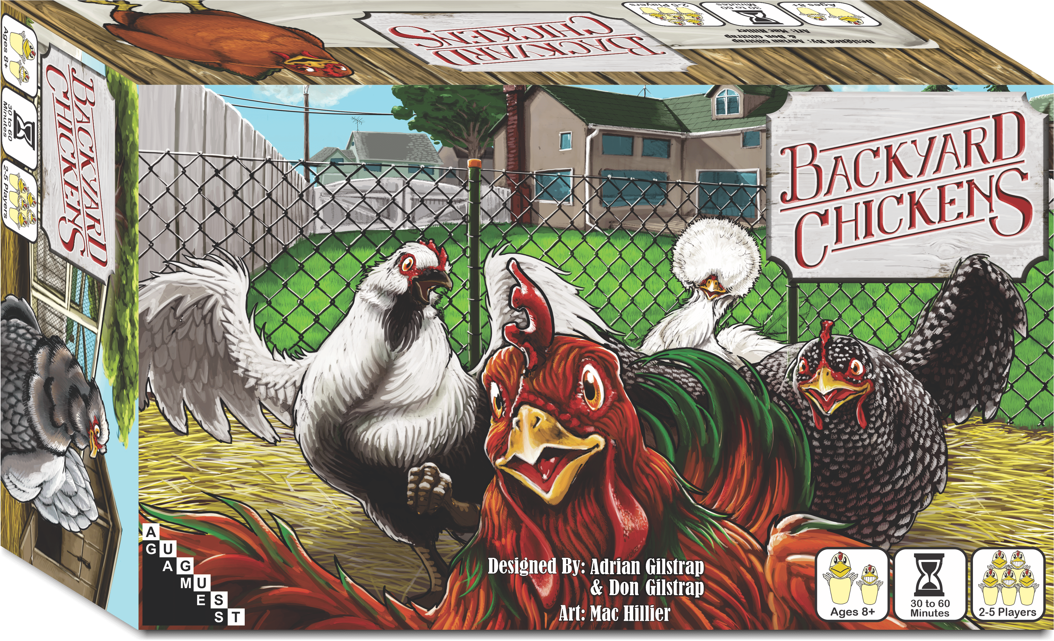 Backyard Chickens